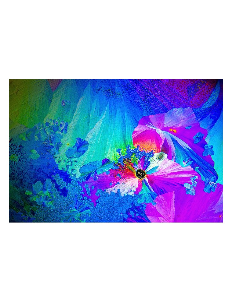 Exotic Blooms Exotic Blooms